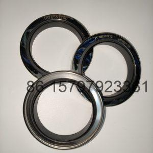 Oil Seal/1616551700/XY 85*110*12