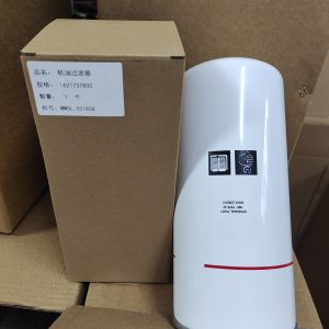 1621737800 Oil Filter