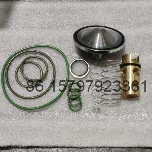 2901201800 Atlas Screw Air Compressor Check Valve & Oil Cut-off Valve Repair Kit