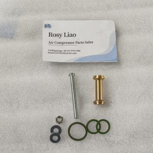 Replacement for 02250045-132 Blow-off Valve Repair Kit