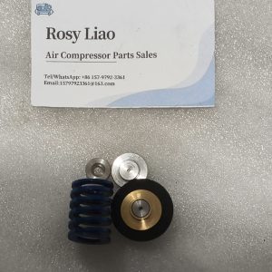 250019-453 Sullair Air Compressor Pressure Regulator Repair Kit