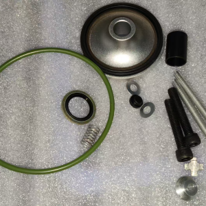 Inlet Valve Repair Kit 2901186100
