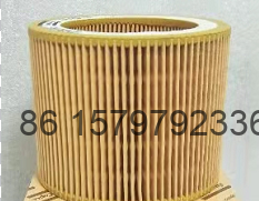 1613900100 Air Filter Element for Atlas GA5.5/GA7.5 Screw Air Compressor