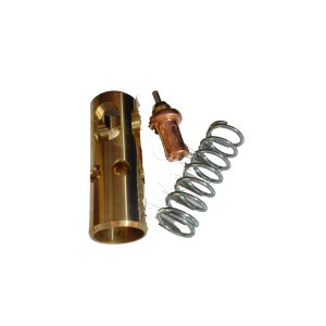 22456214,22856991,47695566001 Thermostat Valve Service Kit