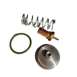 22832885 Thermostat Valve Service Kit