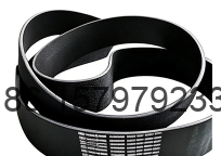 22189039 Drive Belt