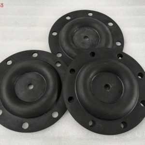 250020-353 Diaphragm