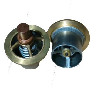 41*62 Thermostatic Valve Core